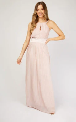 Little Mistress Blush Pleated Maxi Dress